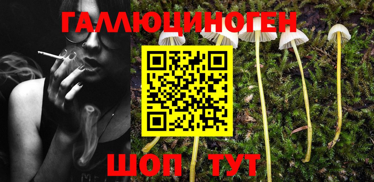 Чапаевск  хочу   Вход с VPN  Псилоцибиновые грибы Magic Shrooms 