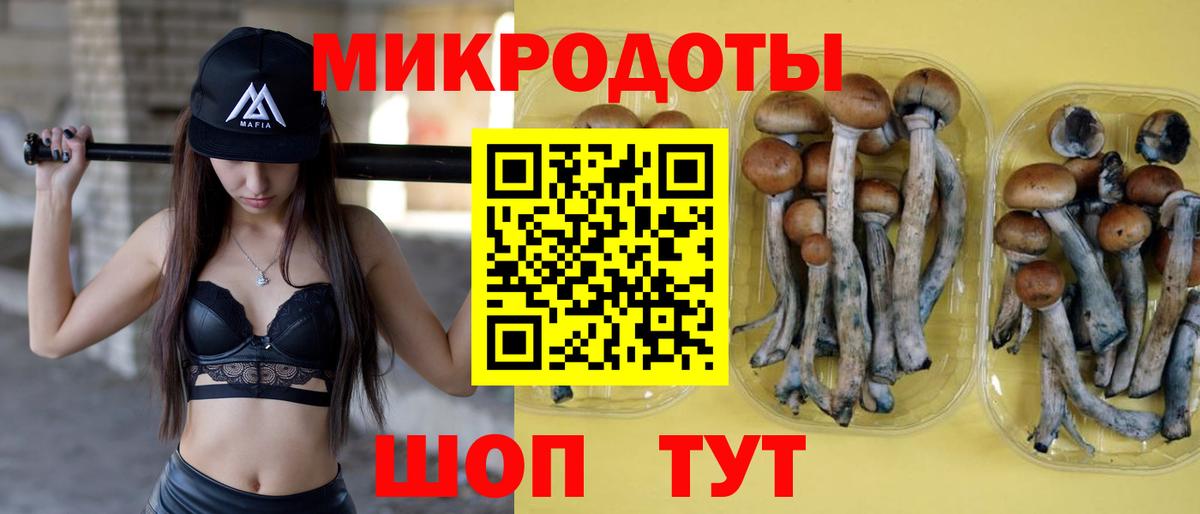 Галлюциногенные грибы мицелий Чапаевск